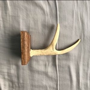 Faux Antler Jewelry Display